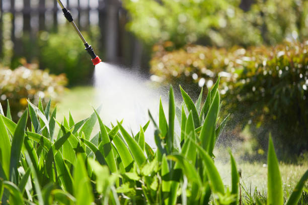 24/7 Emergency Cockroach Control experts in Harrison, AR